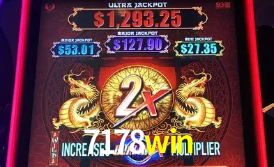VIP Casino 7178win